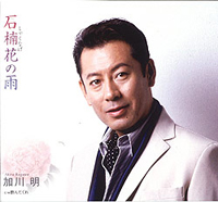 �Γ�ԁi���Ⴍ�Ȃ��j�̉J